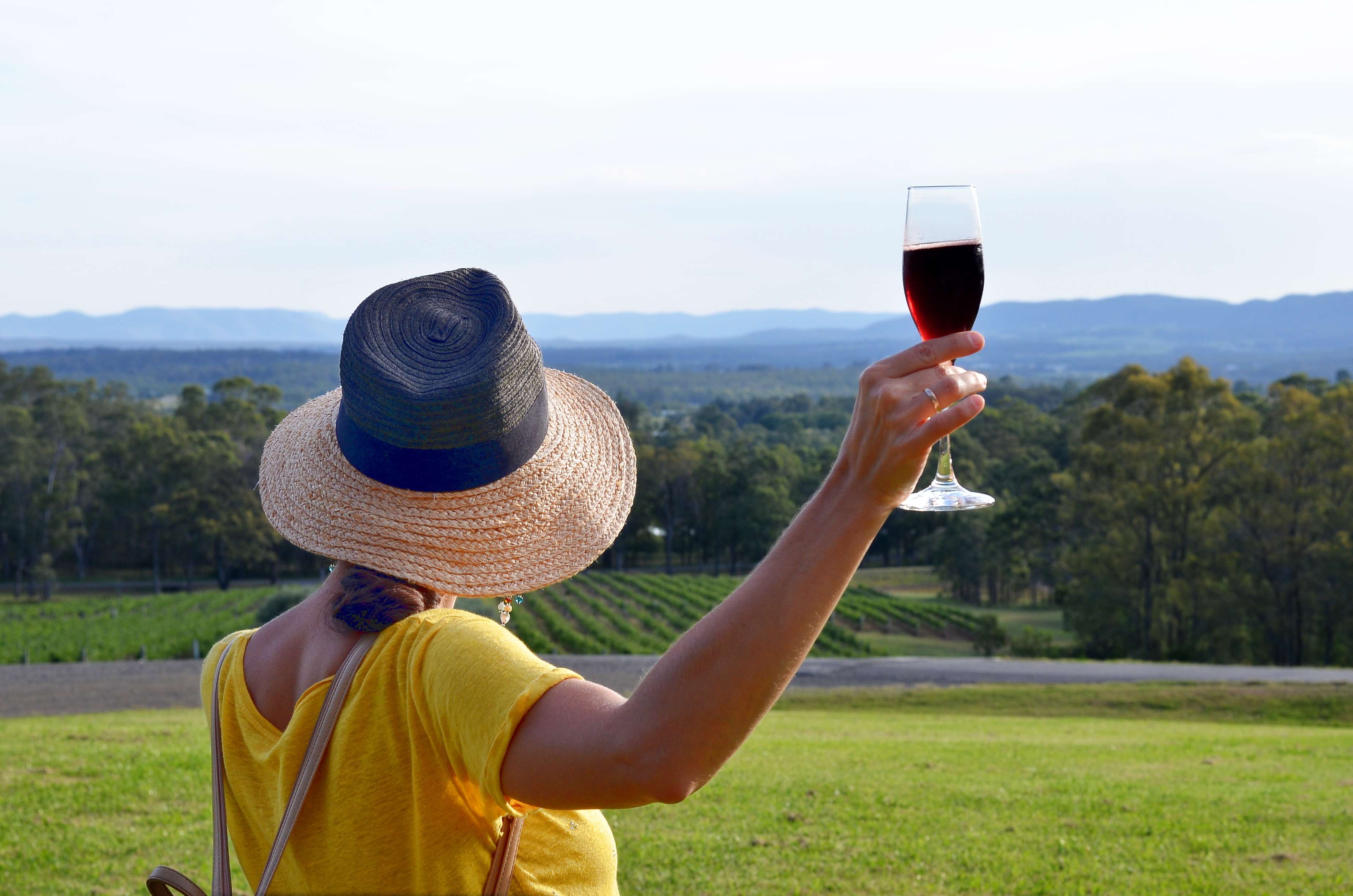 Savor wine with amazing views of the vineyard on this tour