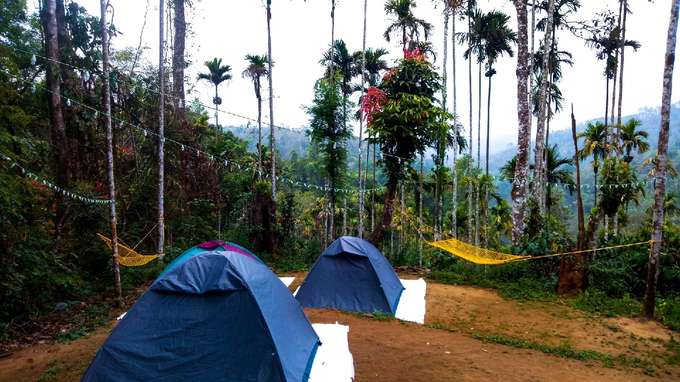Enjoy camping at a serene location in Wayanad