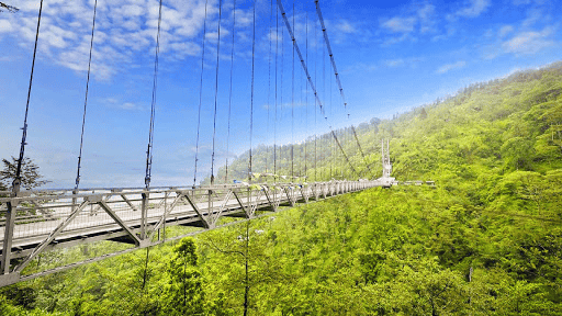 Spiritual trip to Pelling Image