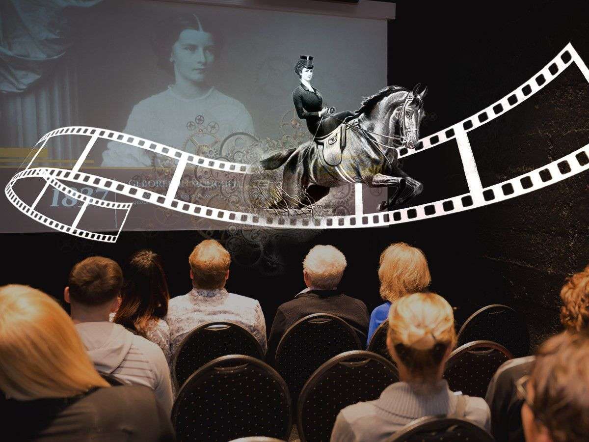 Sisi's Amazing Journey Tickets Image