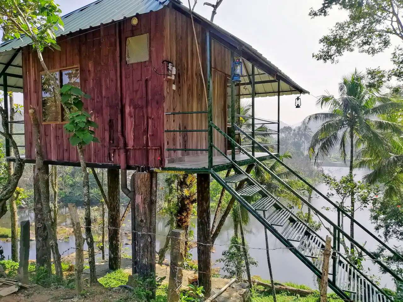 Tree House Stay in Thekkady Image