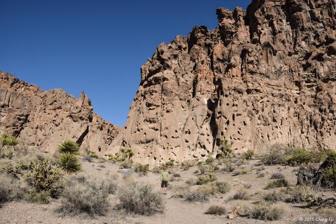 Mojave National Preserve