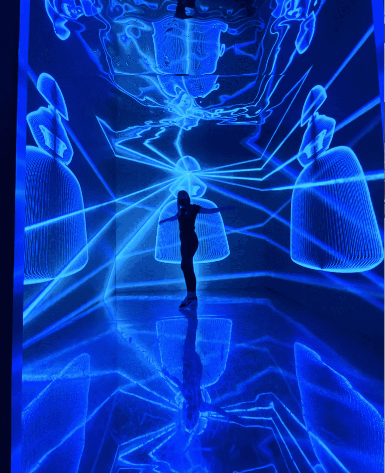 Velazquez Tech Museum Tickets Image