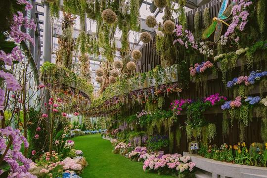 Floral Fantasy Singapore Tickets Image