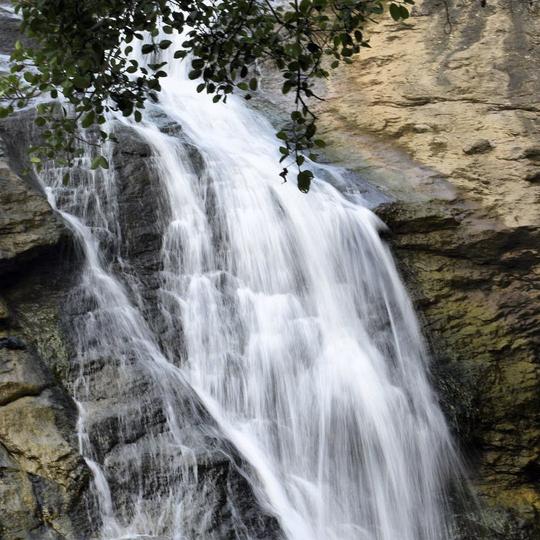 Coorg Camping Experience With Trekking Image