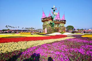 Bpekqdzsinupre18ecs6agay1a71 xinshe sea of flowers