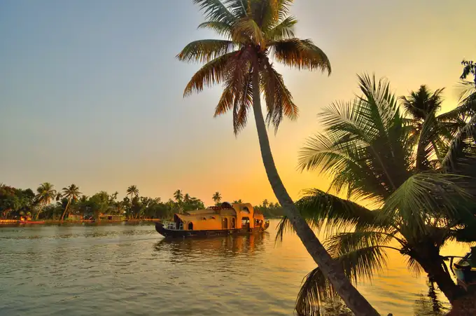 Glide Alleppey’s backwaters on a day cruise past palms, paddy fields & villages