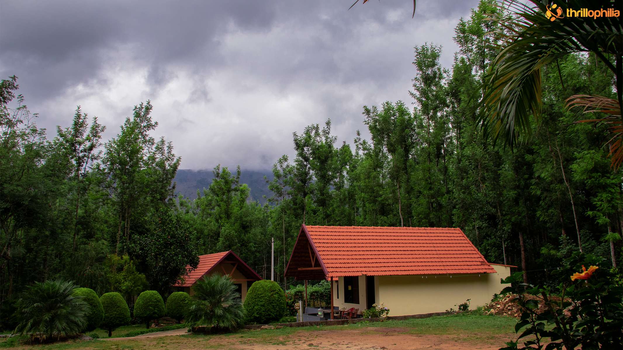 Homestay Nestled in Deep Forests of Chikmagalur Image