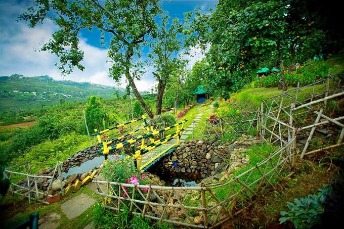 Camping Amidst Pear Orchard in Kodaikanal