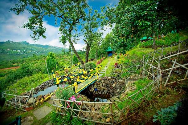 Bqjoi51hzpopvdcetfdkantz9b16 1587548203 pear 1