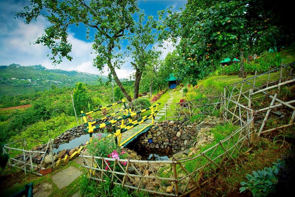 Bqjoi51hzpopvdcetfdkantz9b16 1587548203 pear 1