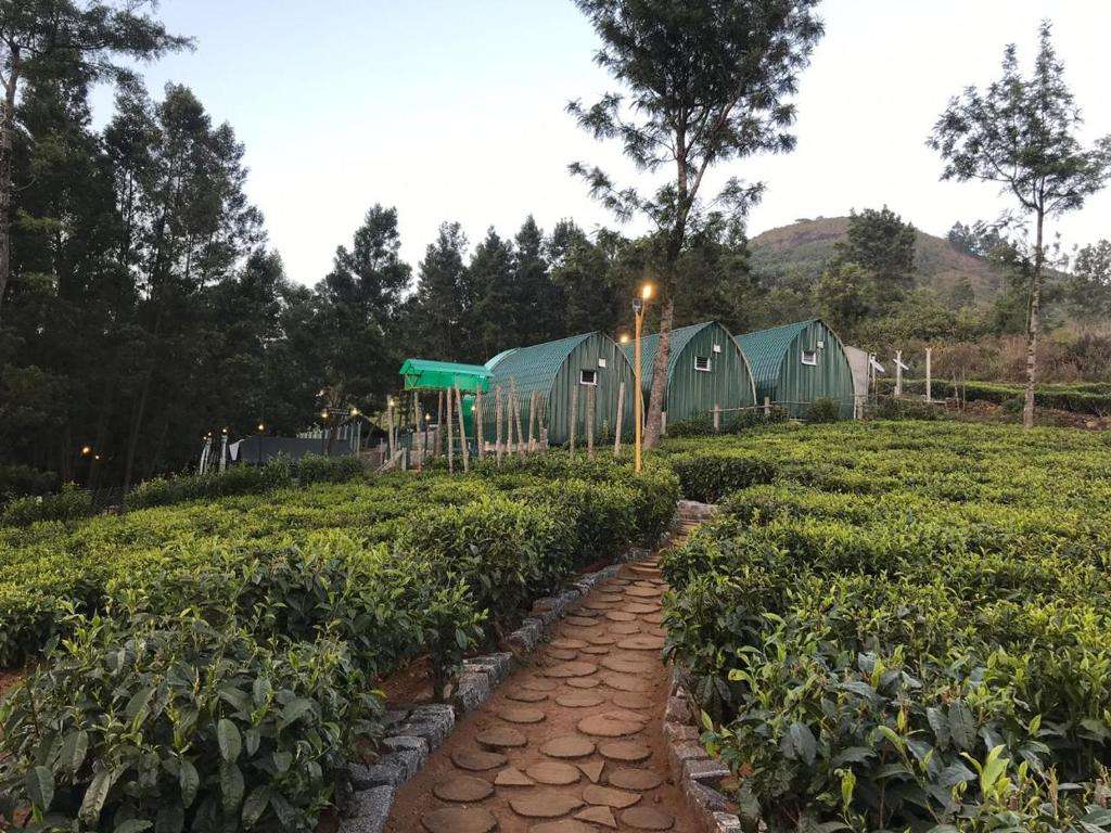 Exterior View of the Homestay