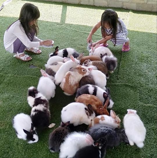 Melaka Wonderland Theme Park Image