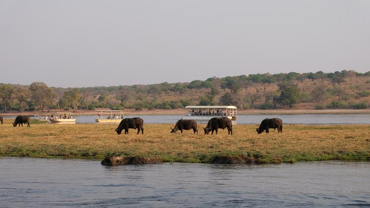 Chobe River Botswana