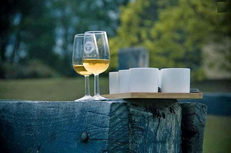 Hunter Valley Gourmet Food and Wine Tour from Sydney Image