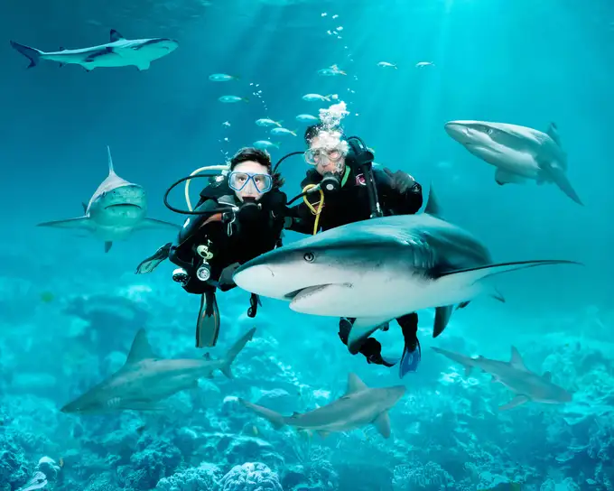 Dive with sharks, fishes and other marine creatures at AQWA