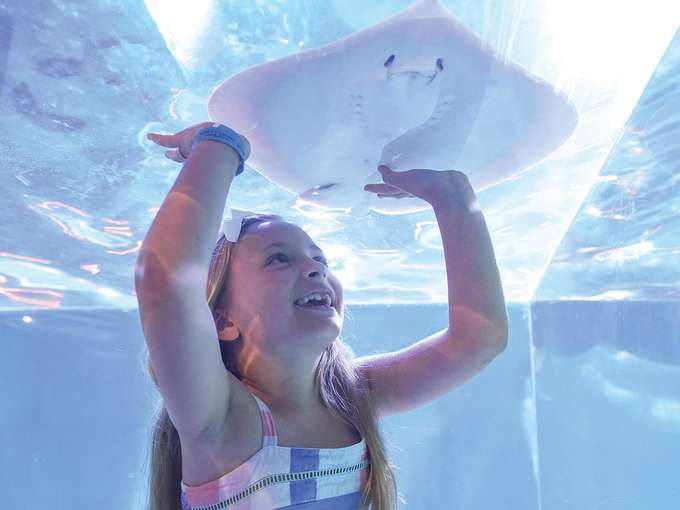 Take photos of your child having fun