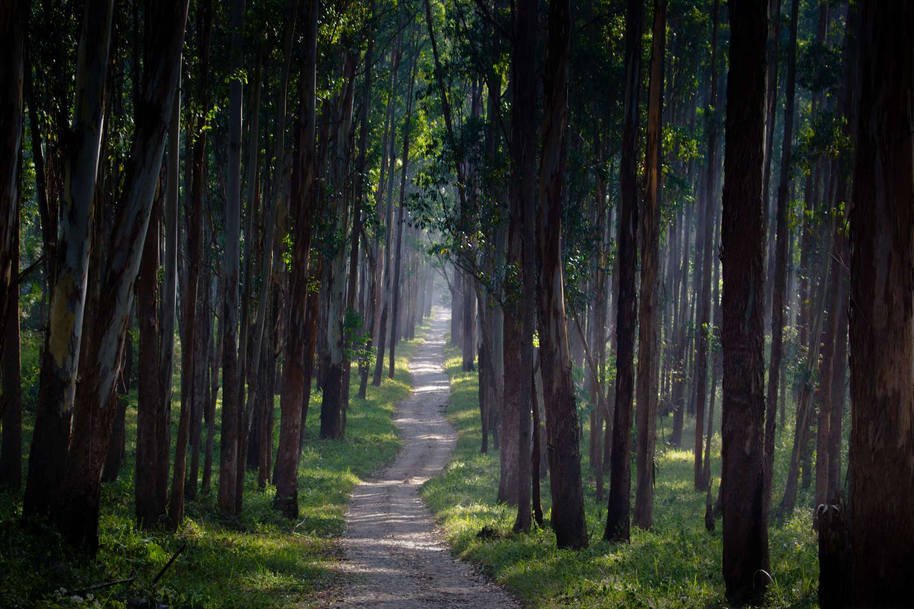 Off beat Wayanad Tour Package Image