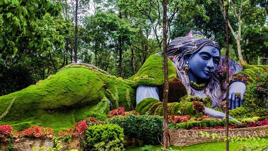 One Day Chikmagalur Sightseeing Tour Image