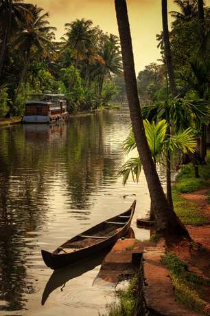 Bx1ysvdj74ba21ff4y4lq91puocp vertical%20alleppey