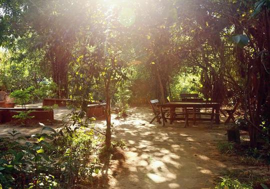 Camping in Jim Corbett Image