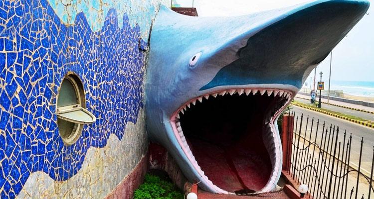 Matsyadarshini Museum