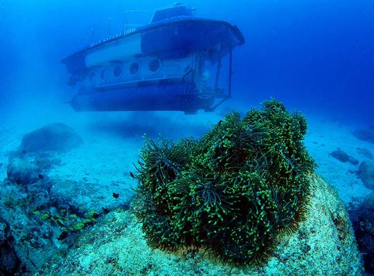 35 Meter Submarine Dive in the Indian Ocean Image