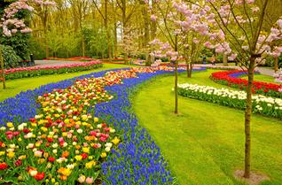 Bytwnl7aoilq9yd98titjtn9vxtm keukenhof gardens lisse netherlands