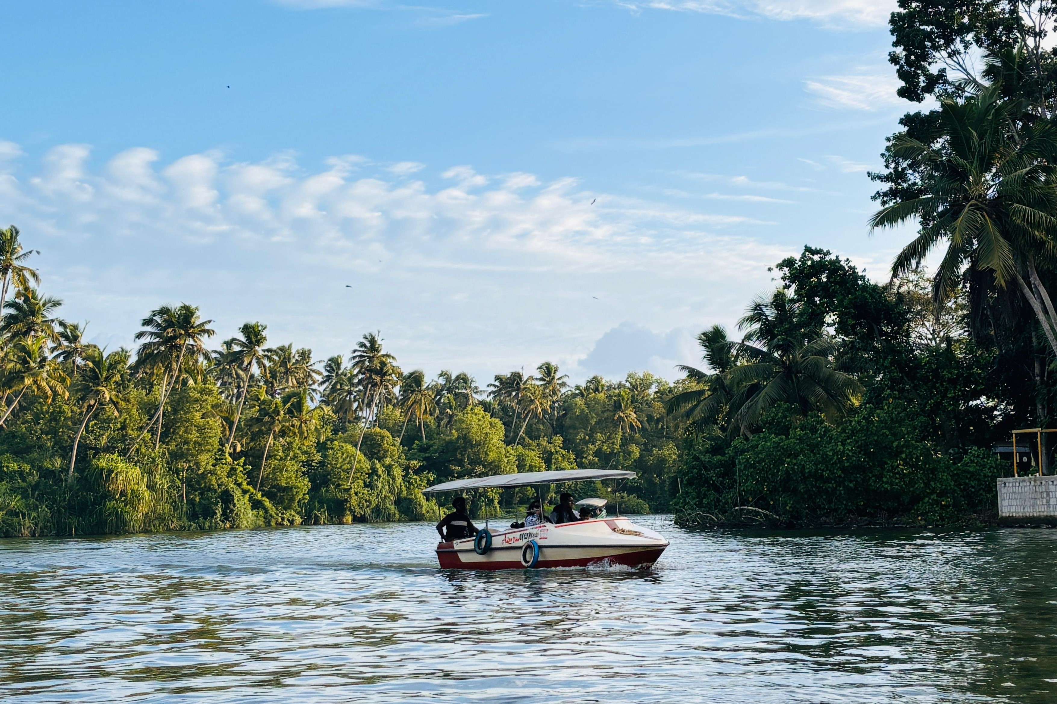 Glide through Poovar’s calm waterways and lush natural beauty