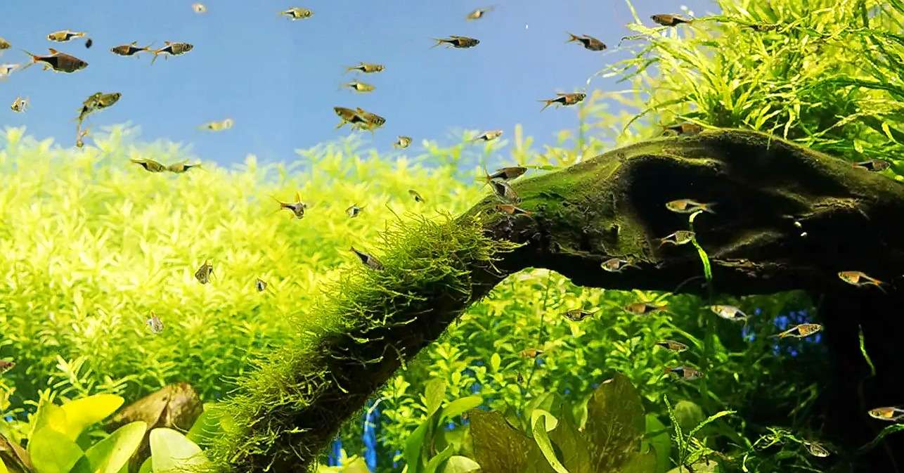 Hanwha Aqua Planet 63 Tickets in Seoul Image