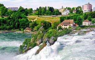 Marvel at the gushing Rhine Falls