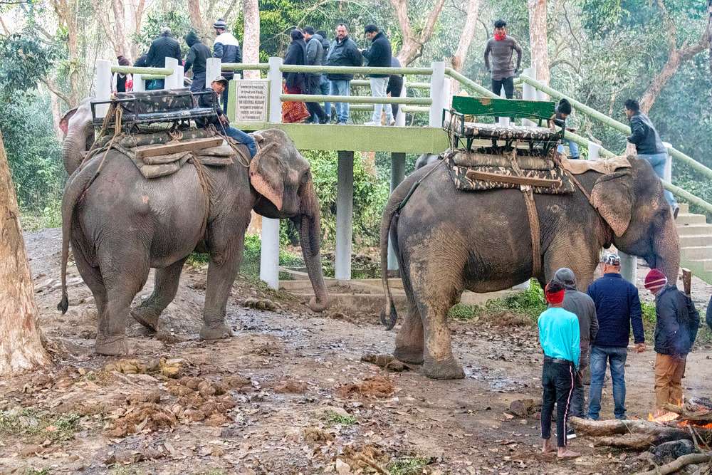 Guwahati Shillong Tour Package Image