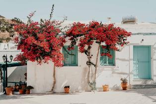 C1bqoxu6d64w6dki3k7xqq3utvca lefk%c3%a9s%20village