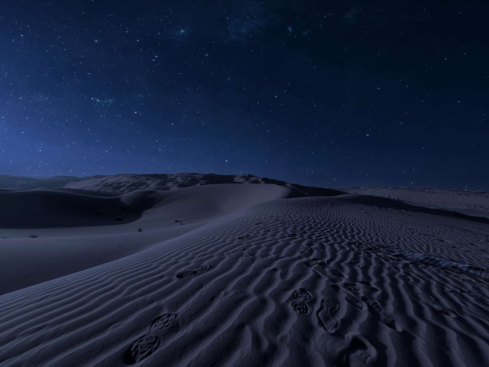 Camping at Thar Desert Image