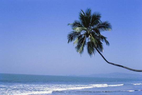 Mumbai to Dapoli Sightseeing Tour Image