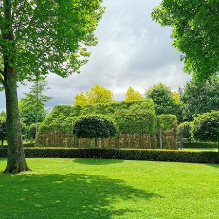 Tree Church & Gardens