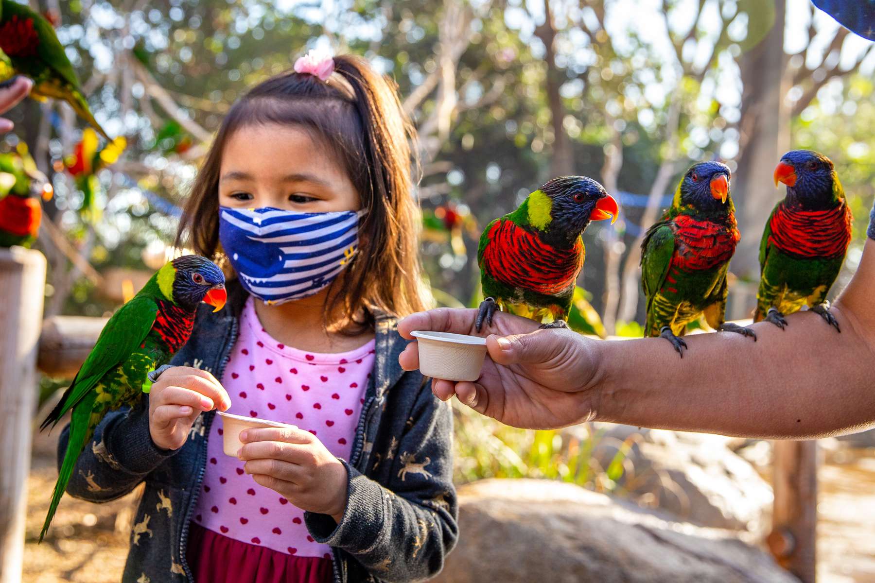 Aquarium of the Pacific Tickets Image