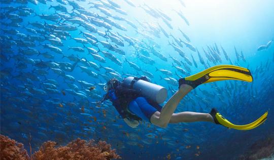 Scuba Diving Experience in Mahabalipuram Image