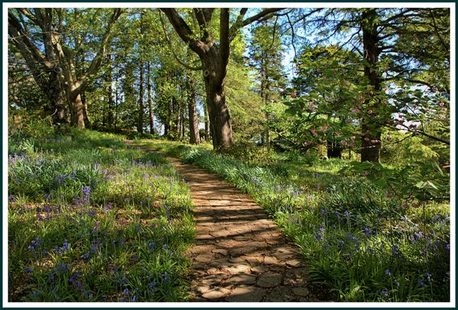 Everglades House and Gardens