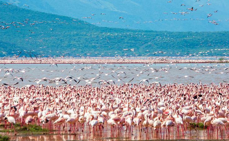 Lake Nakuru