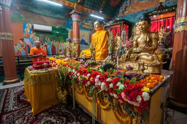 C66q8v8pbi3cdmzewxkl0pu48t5i shutterstock 2465652159