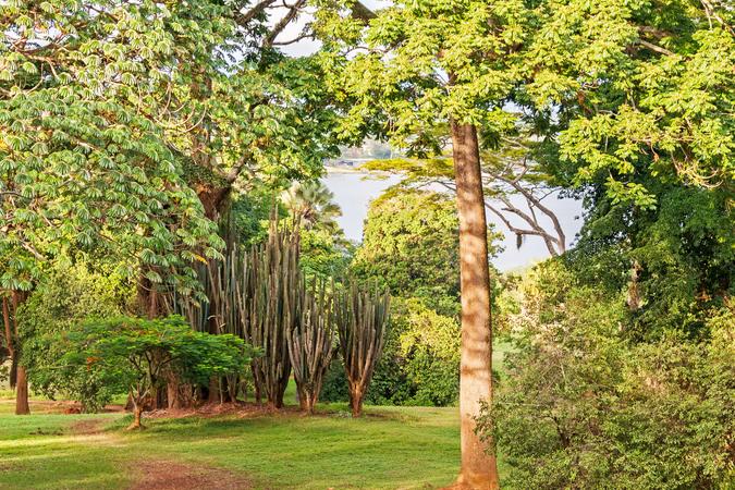 Entebbe Botanical Gardens