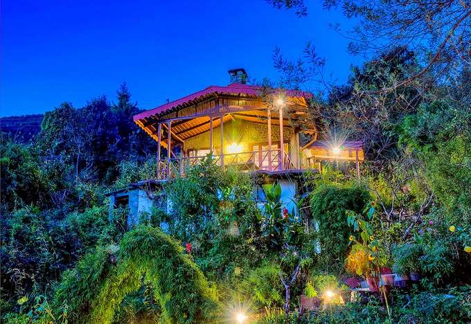 The Jungle Lore Birding Lodge, Pangot | Luxury Staycation Deal