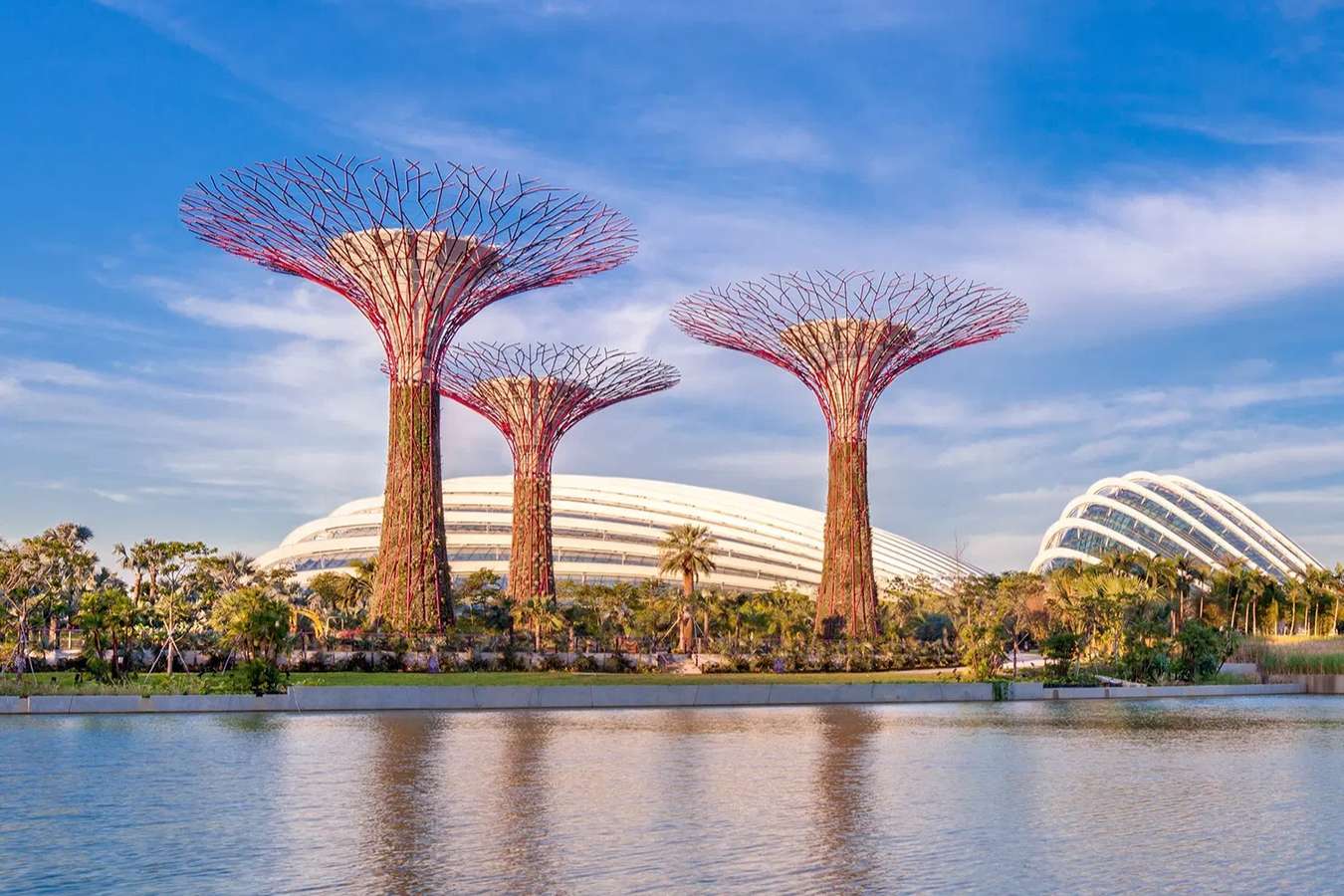 C84x21kvsrfaulecrejvdijklc5k ftegb1rf55gpv0r0dayo5asaectx page image gardens by the bay 1512x1120