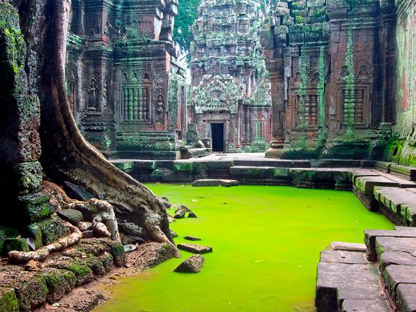 Angkor Archaeological Park, Siem Reap