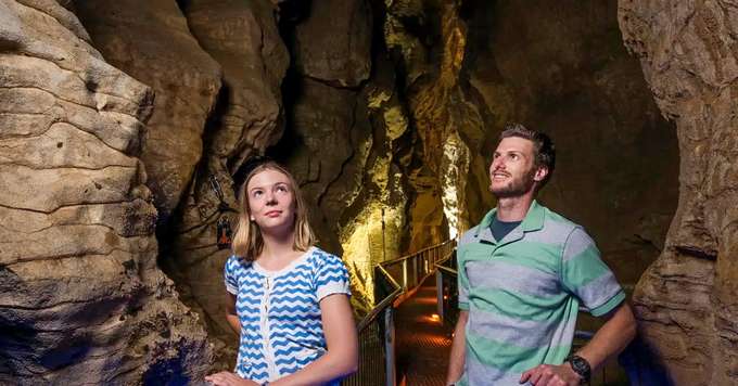 Ruakuri Cave Tour
