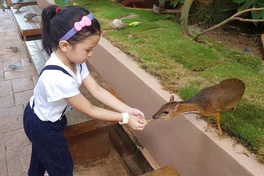 Langkawi Wildlife Park Tickets Image