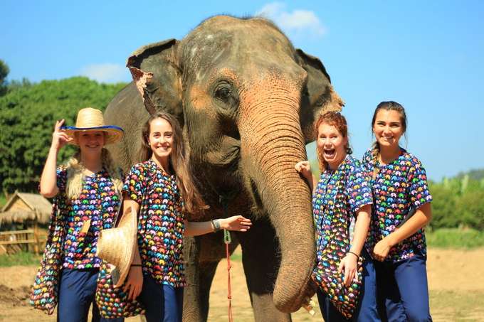 Experience a day amidst nature with the Kanta Elephant Half-day Tour from Chiang Mai
