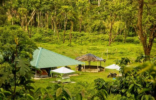 Camping in Gonikoppa in Coorg Image