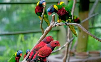 Cbxdwgldziy4qtpmph8sannv36pm 1549607082 majathal sanctary